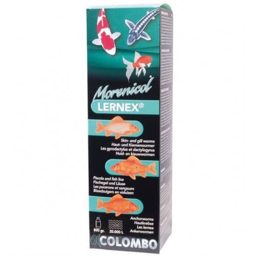 Colombo Morenicol Lernex - 200 gram